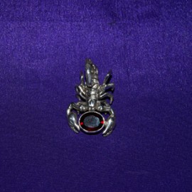 Scorpian Jewelled (Red Jewel) Silver Pendant